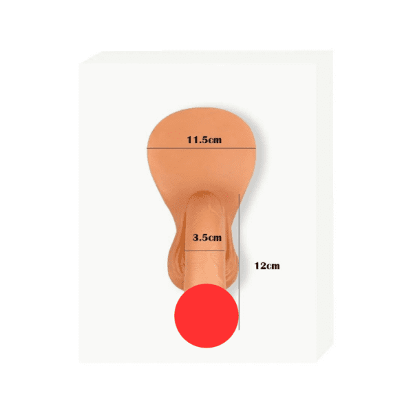 An ivory and beige silicone model of a human p*nis and adjacent facial area, used for medical or artistic purposes. Dimensions are marked, showing 11.5 cm wide, 3.5 cm between nostrils, and 12 cm tall. A red circle obscures the bottom center of the model.