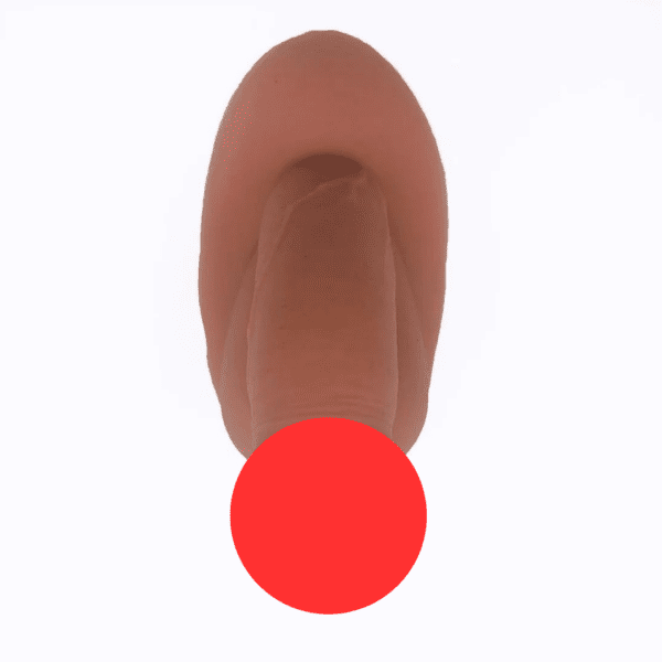 An object appears to be cylindrical and flesh-toned, resembling a soft packer.. The bottom part of the object is obscured by a red circle, which is centrally placed on the image. The background is white.