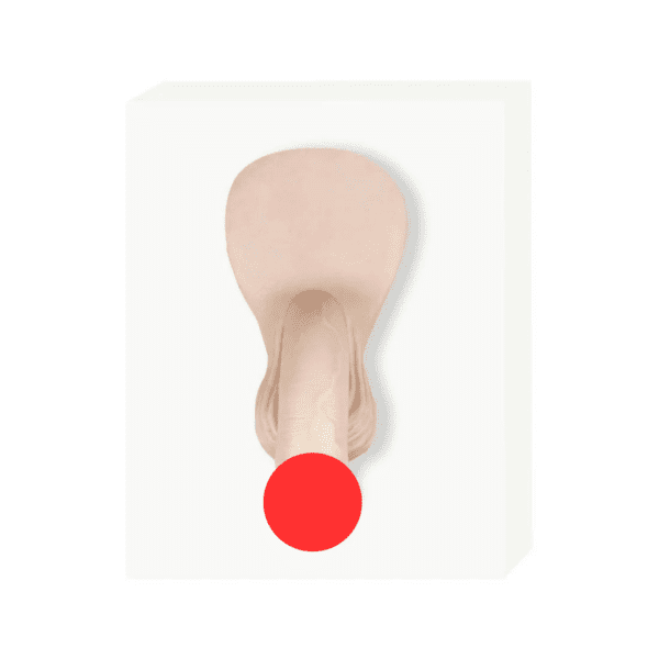 A white box displays an ivory soft silicone packer, with a red circular marker obscuring a specific area for modesty. The background, in shades of ivory & beige, complements the stark simplicity of the packer.