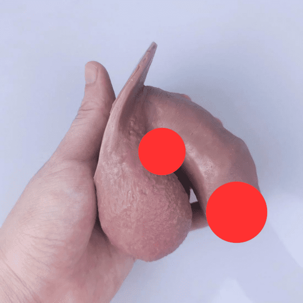 A hand holds a realistic squishy model, crafted from Platinum Silicone and shaped like a human ph*llus. Two red circles censor parts of it against a plain background, creating an intriguing MRIMIN Customized Packer display.